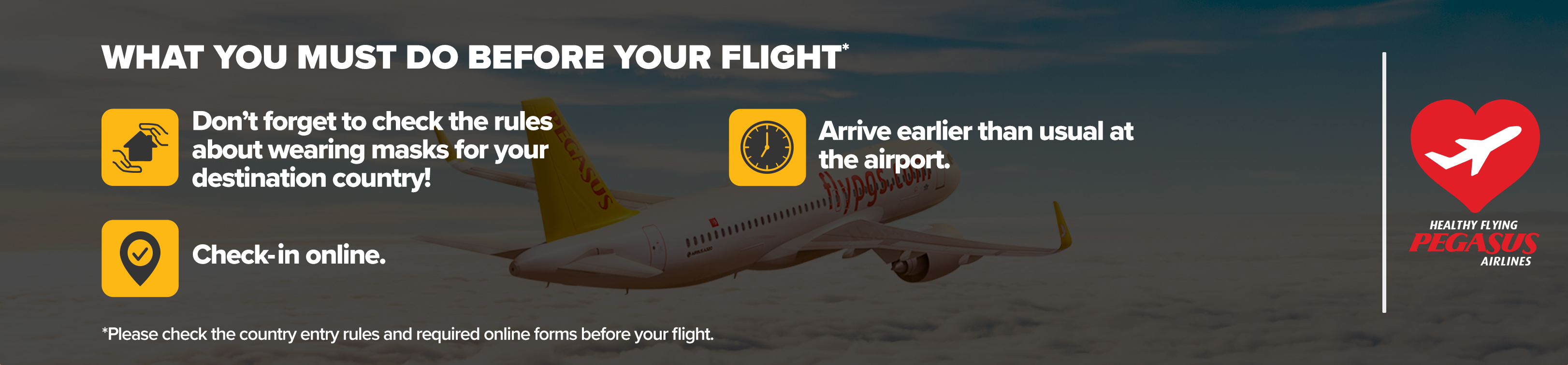 what you must do before flight