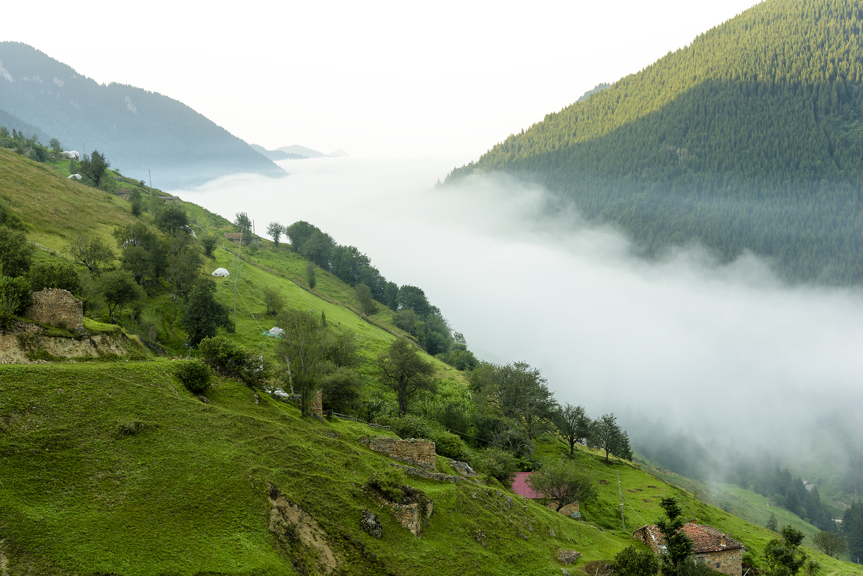Karadeniz turu